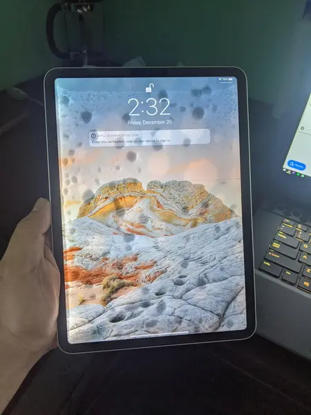 La pantalla del iPad Mini 4 parpadea después del agua