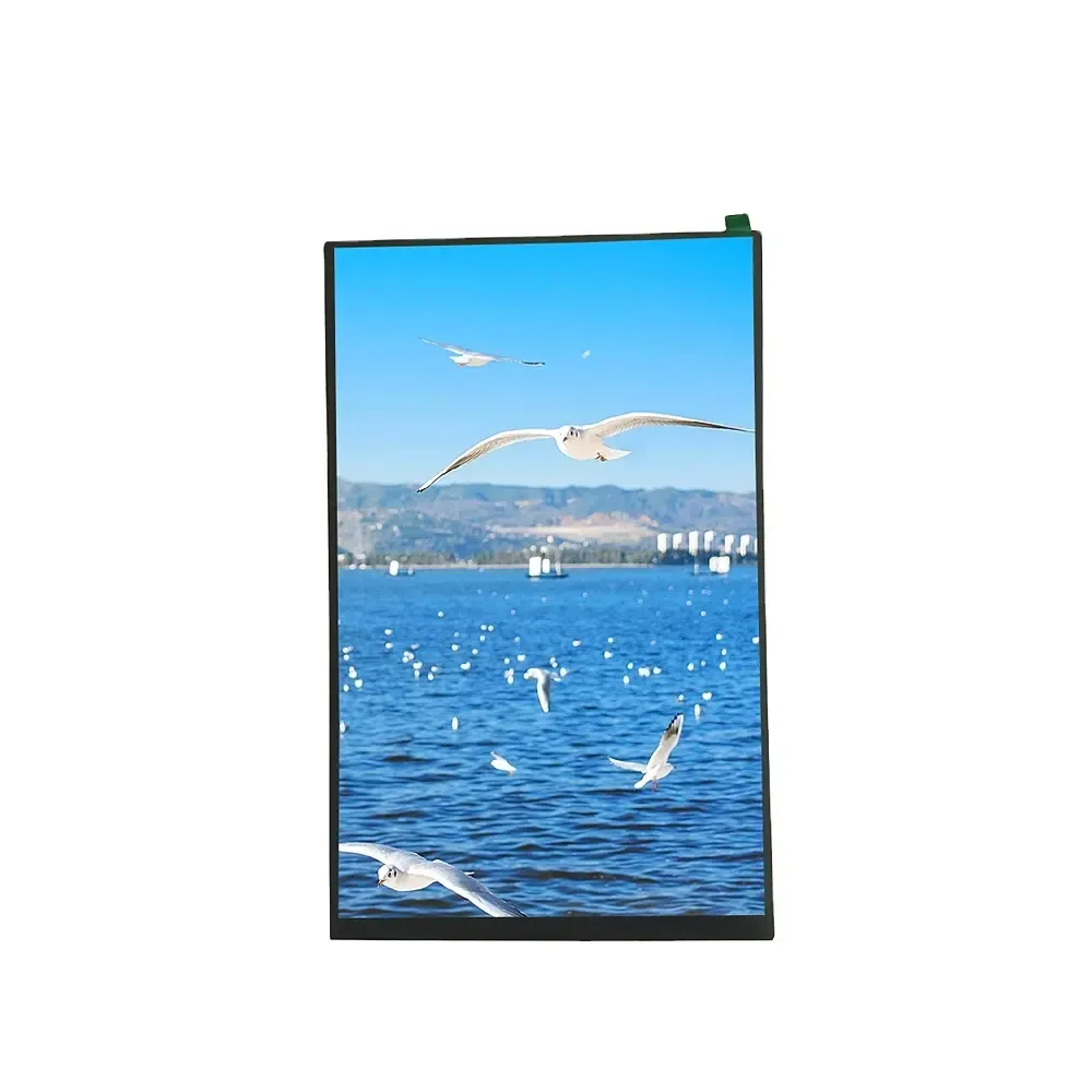 10.1 Zoll Mipi Lcd Display_1